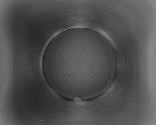 X0000102801181200808251043