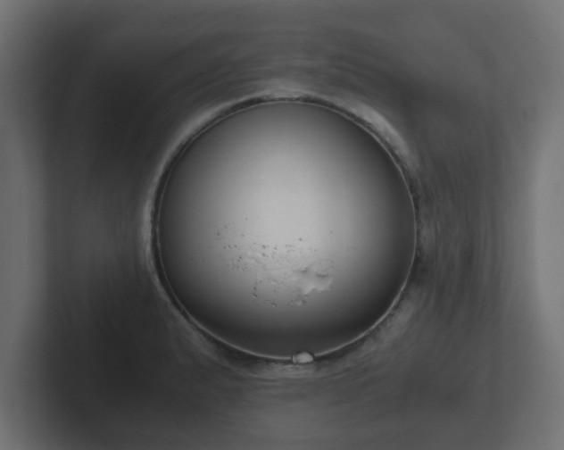 X0000102801183200808251043