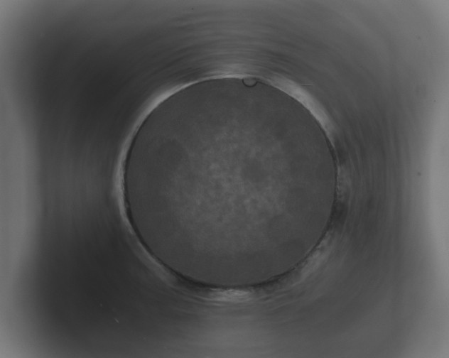 X0000102801187200808251043