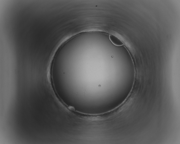 X0000102801189200808251043