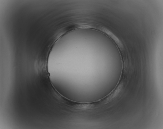 X0000102801193200808251043