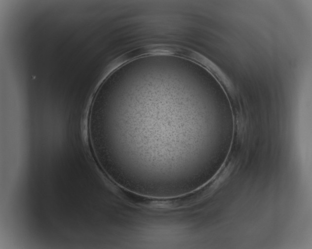 X0000102801194200808251043