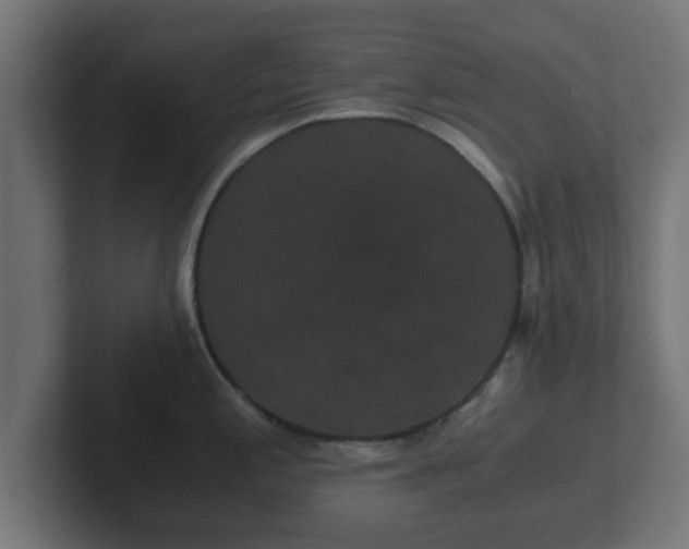X0000102801197200808251042