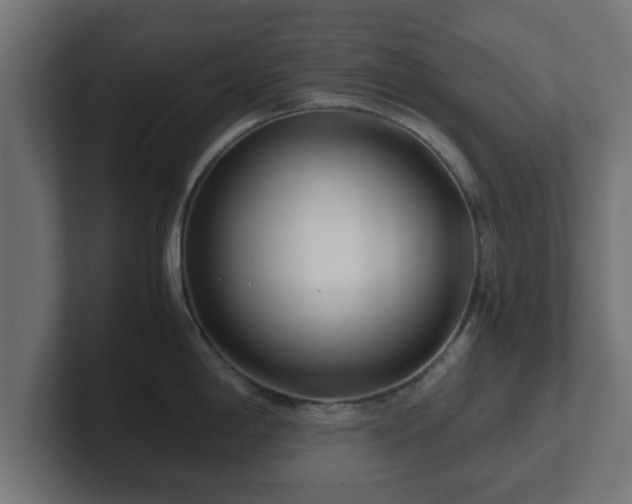 X0000102801198200808251042
