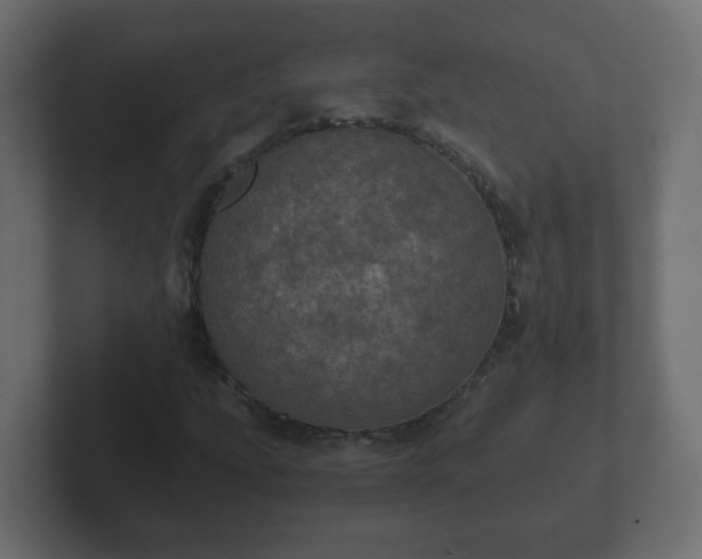 X0000102801207200808251042