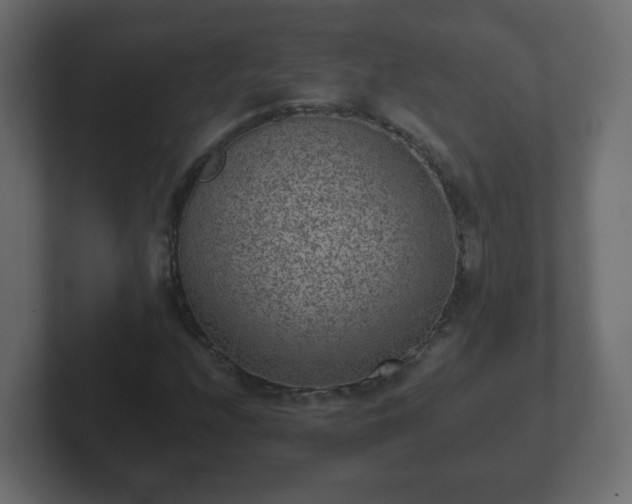 X0000102801208200808251042