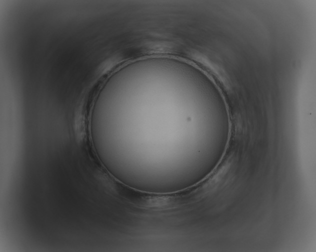 X0000102801211200808251042