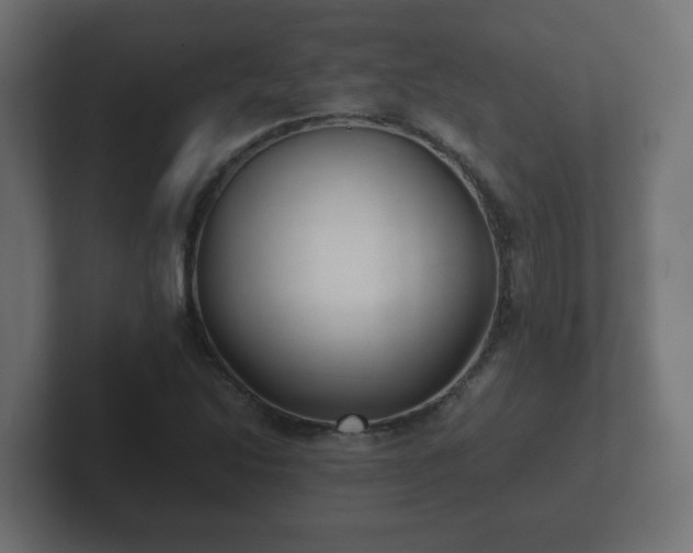 X0000102801214200808251042