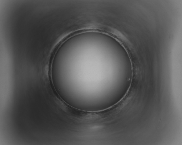 X0000102801216200808251042