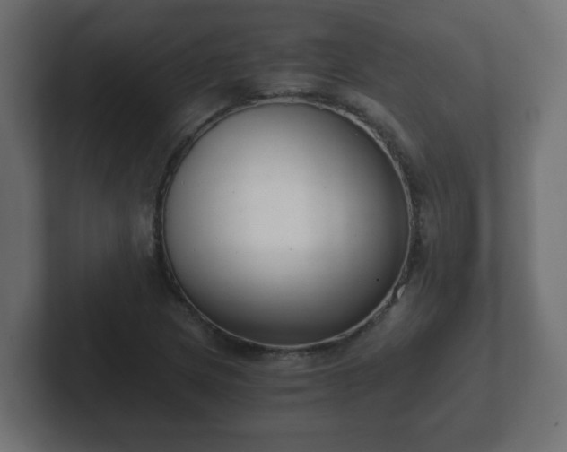 X0000102801217200808251042