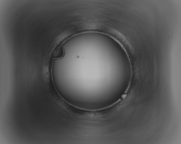 X0000102801218200808251042