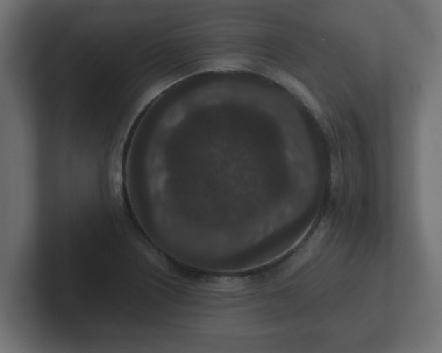 X0000102801226200808251042