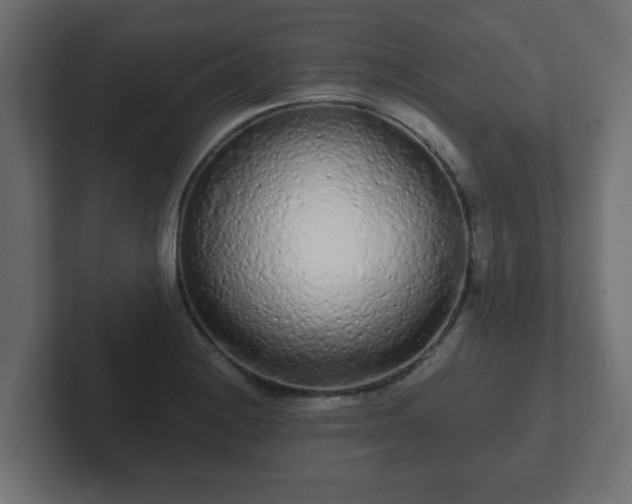 X0000102801228200808251042