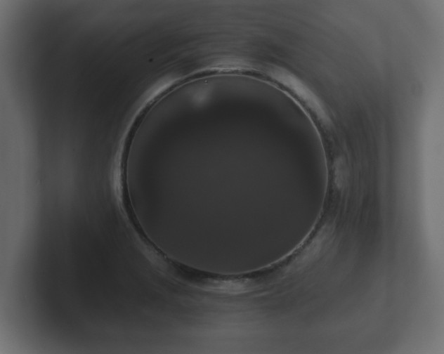 X0000102801229200808251042