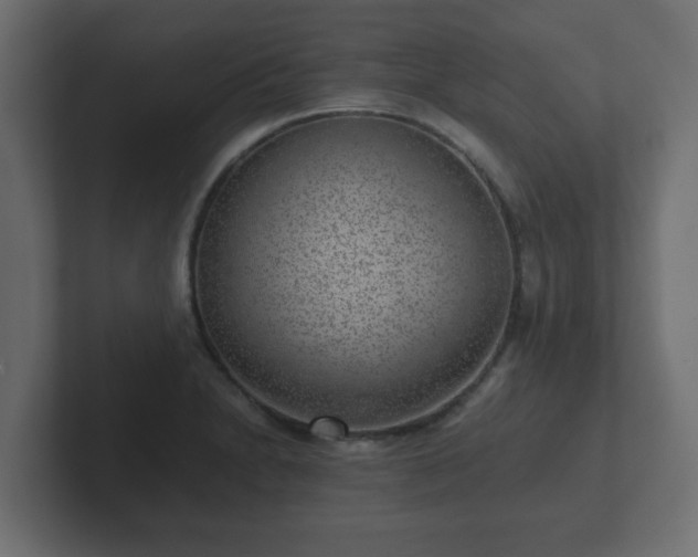 X0000102801230200808251042