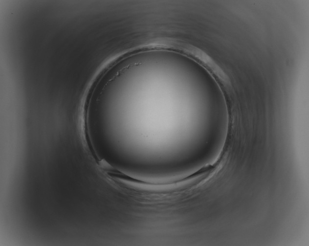 X0000102801232200808251042