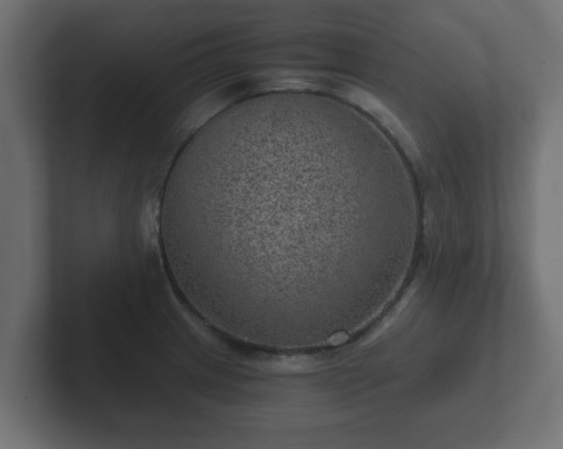 X0000102801233200808251042