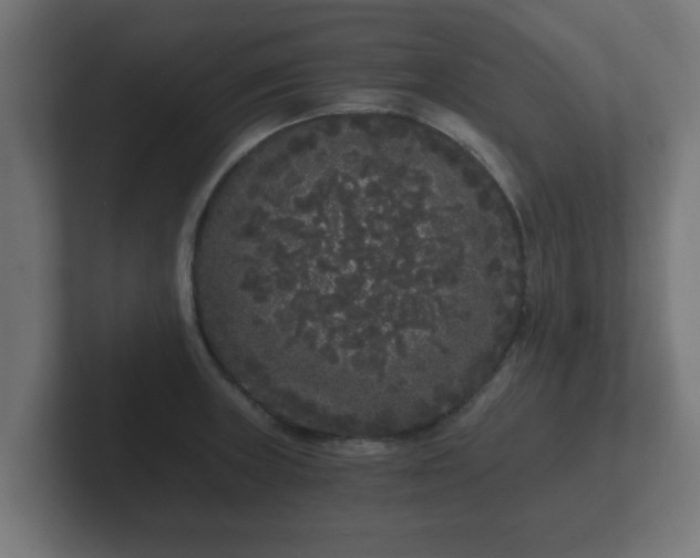X0000102801235200808251042