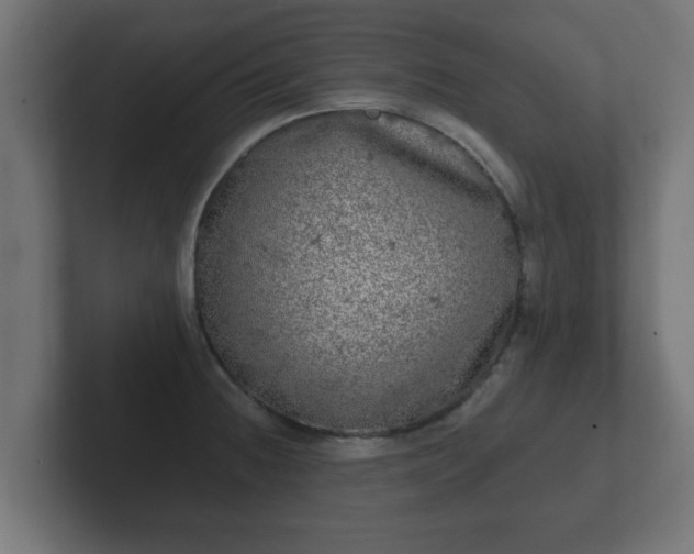 X0000102801236200808251042