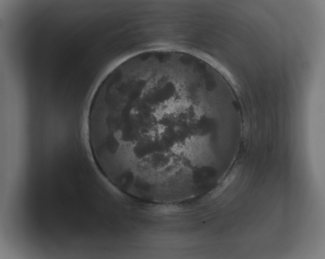 X0000102801239200808251042