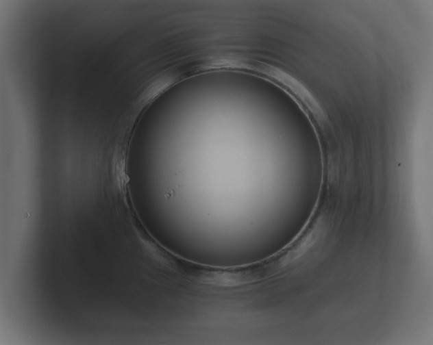 X0000102801241200808251042