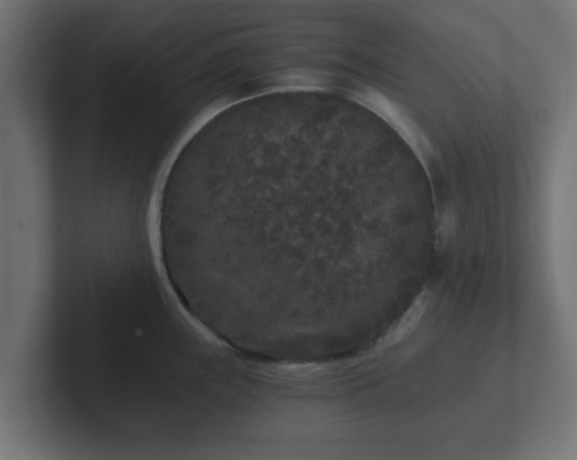 X0000102801243200808251042