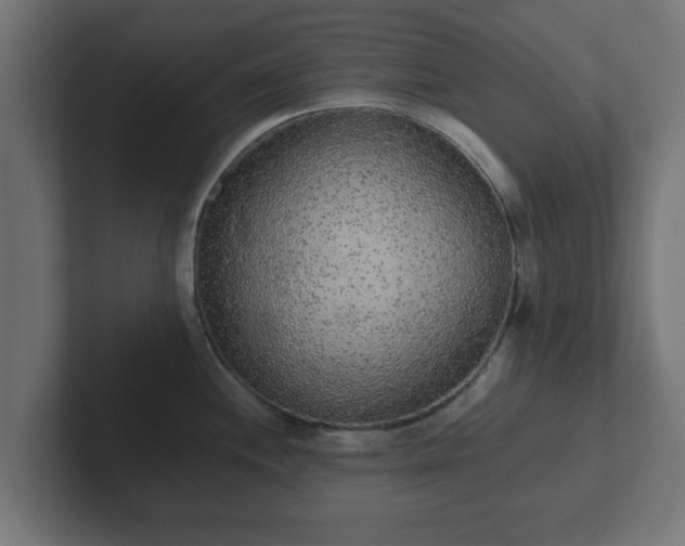 X0000102801244200808251042