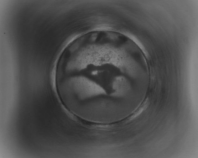 X0000102801245200808251042