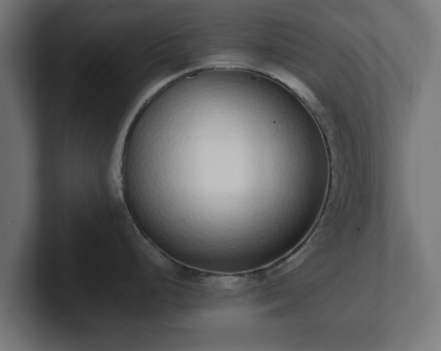 X0000102801248200808251042