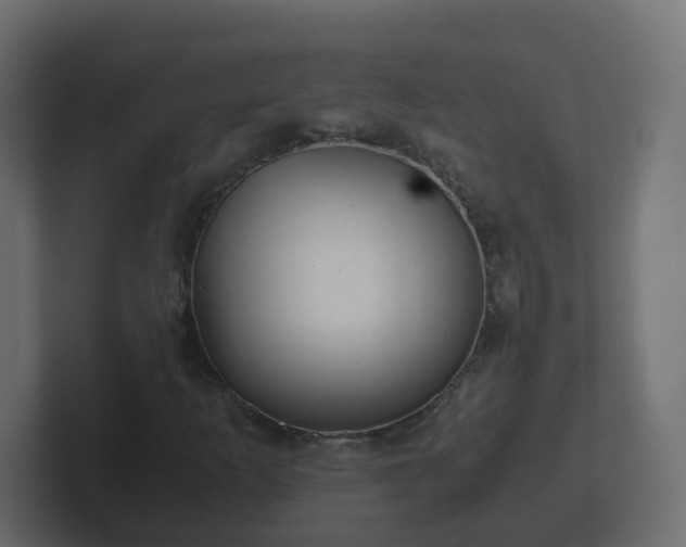 X0000102801253200808251042
