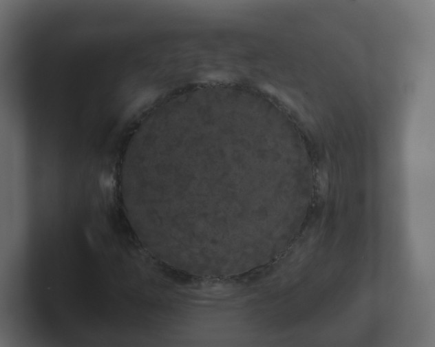 X0000102801254200808251042