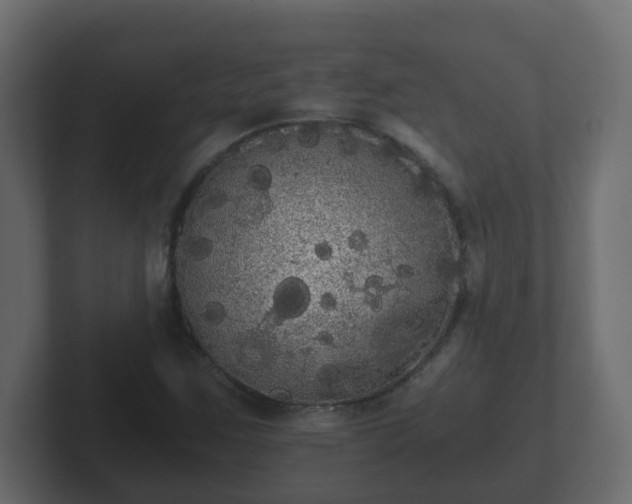 X0000102801259200808251042