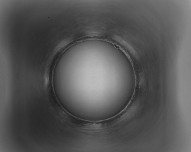 X0000102801261200808251042