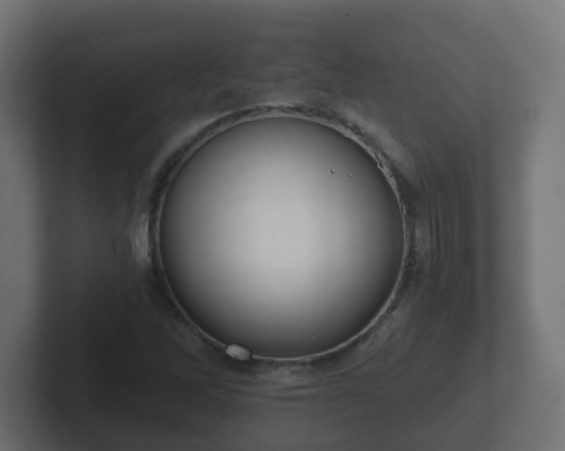 X0000102801262200808251042
