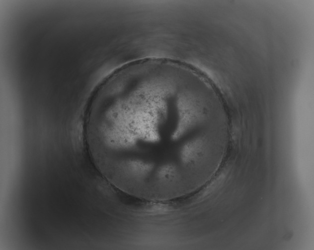X0000102801263200808251042