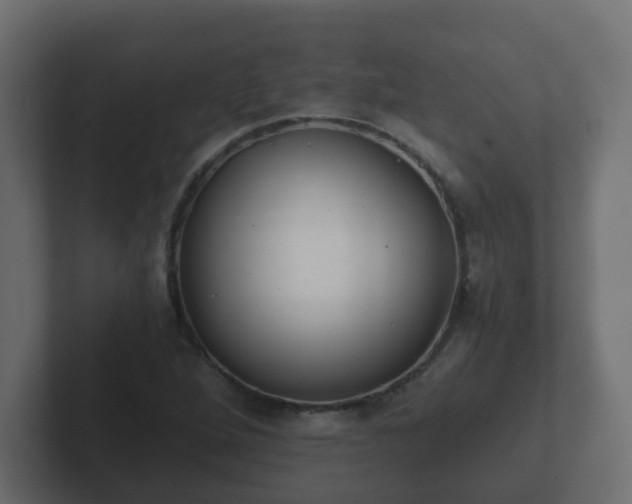X0000102801264200808251042