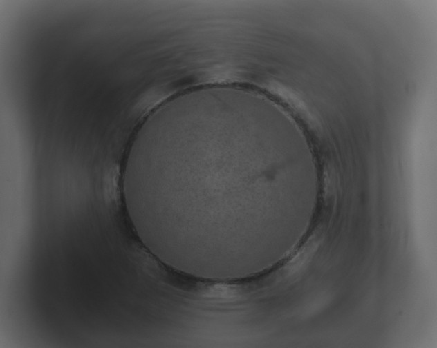 X0000102801265200808251042