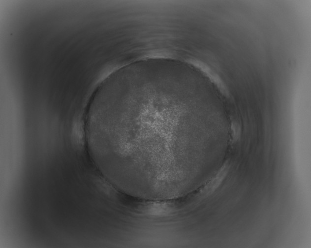 X0000102801266200808251042
