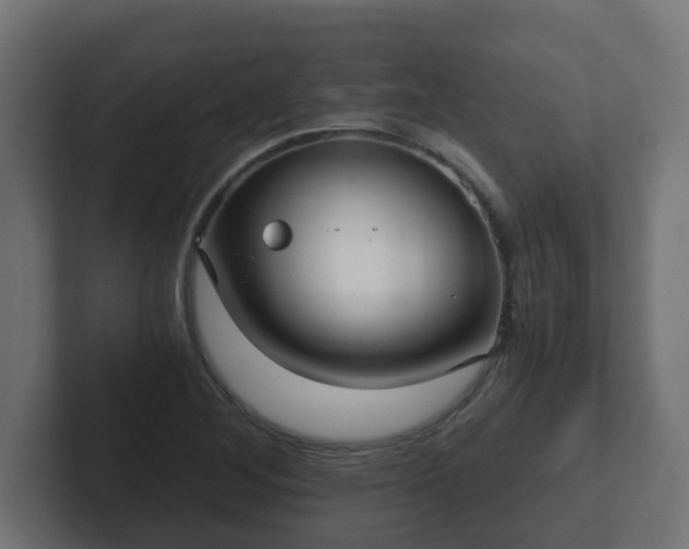X0000102801268200808251042