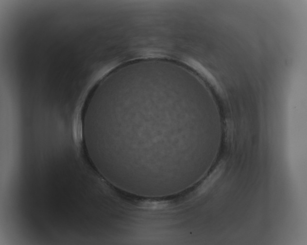 X0000102801269200808251042