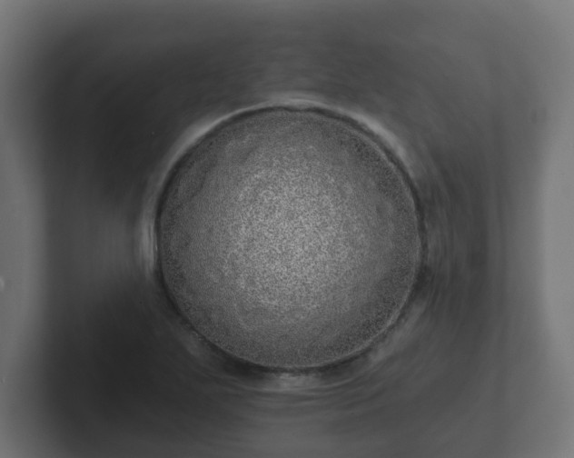 X0000102801271200808251042