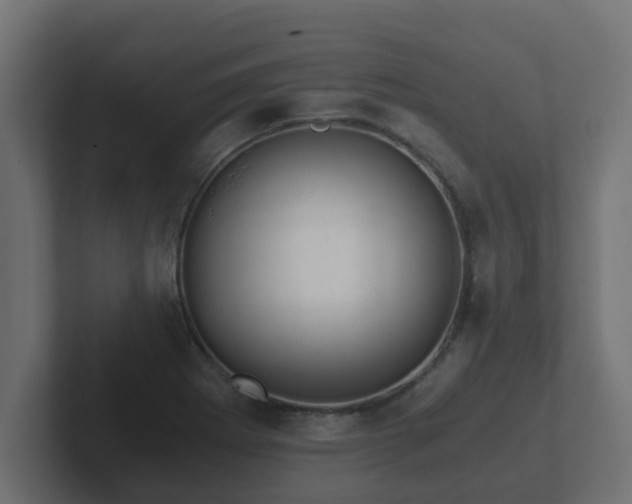 X0000102801273200808251041