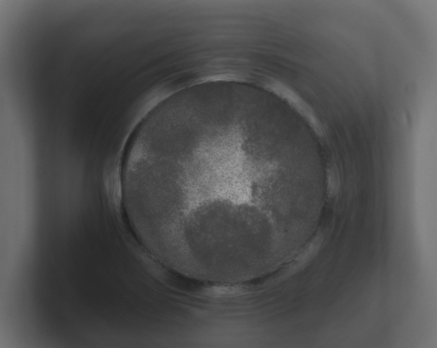 X0000102801274200808251041
