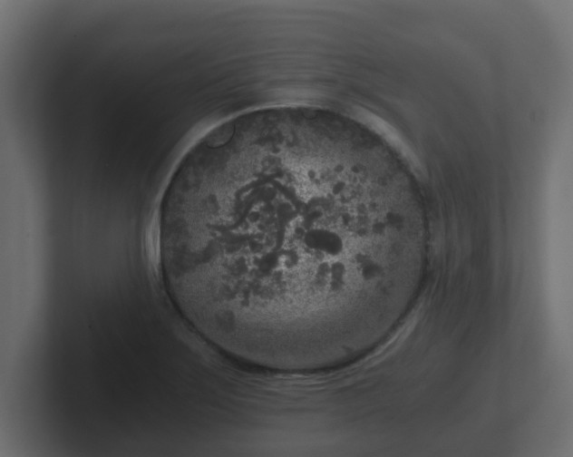 X0000102801275200808251041