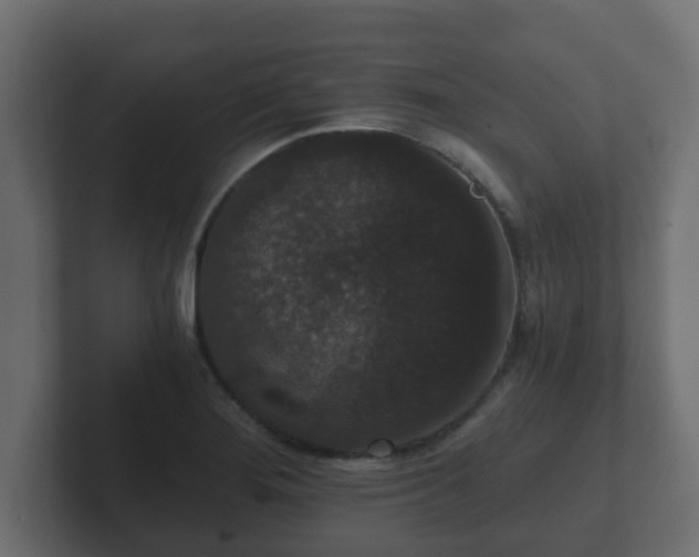 X0000102801276200808251041