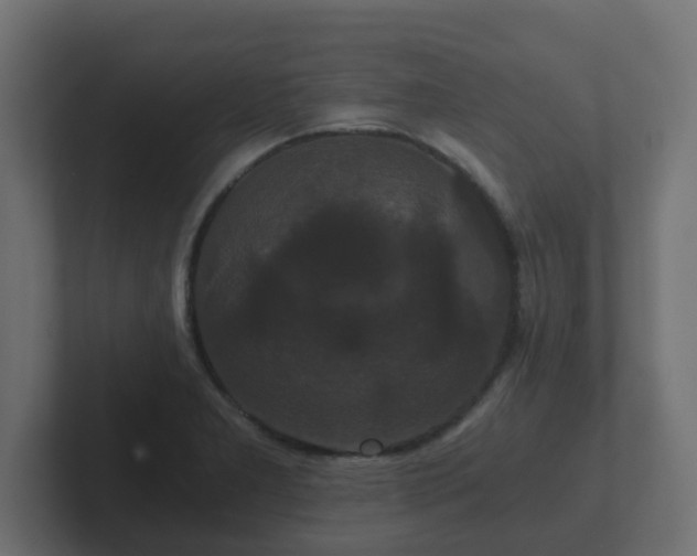 X0000102801277200808251041