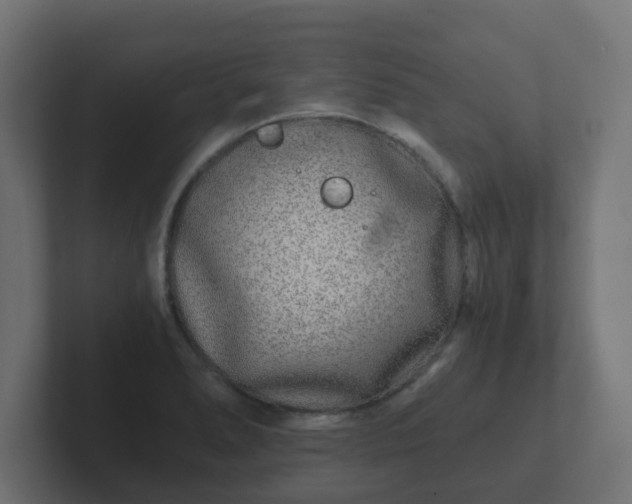 X0000102801278200808251041