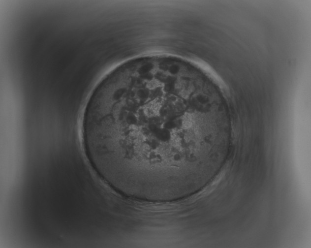 X0000102801279200808251041