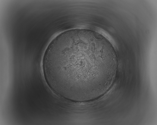 X0000102801283200808251041