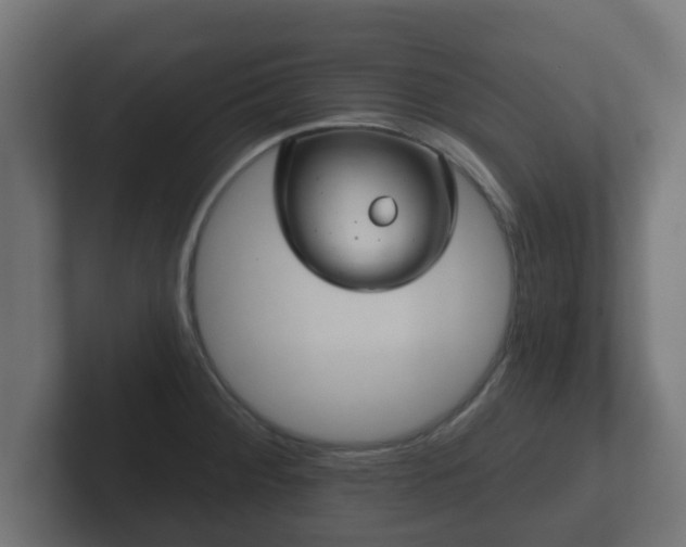 X0000102801284200808251041